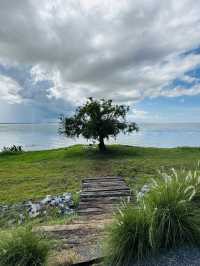 คาเฟ่ลับริมทะเล บรรยากาศโคตรดีที่ “ภูนาเล พัทลุง“
