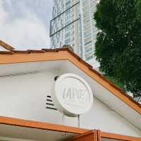 A Feast of Flavors at Lapo Joho HQ