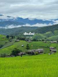 เที่ยวภาคเหนือฤดูฝน | 11 จังหวัด ⛰️🌦️🌳🌈