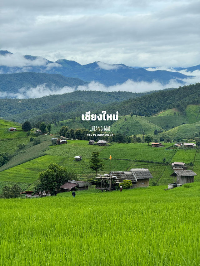 เที่ยวภาคเหนือฤดูฝน | 11 จังหวัด ⛰️🌦️🌳🌈