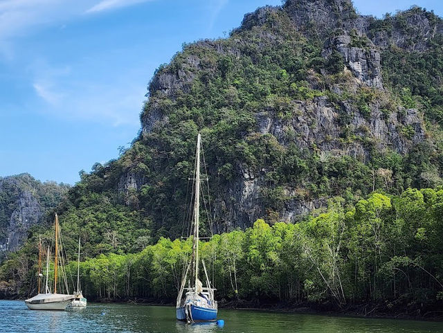 Kilim Karst Geoforest Park – Langkawi’s Mangrove Paradise** 🌿🦅