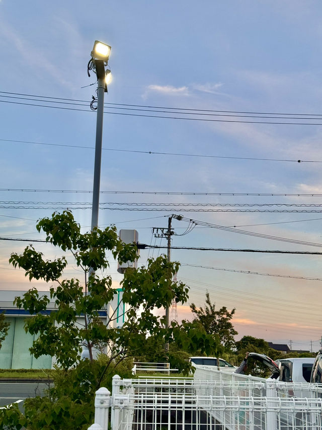 🌄 숨겨진 관광 명소 시즈오카 여행, 일본의 숨은 보석!