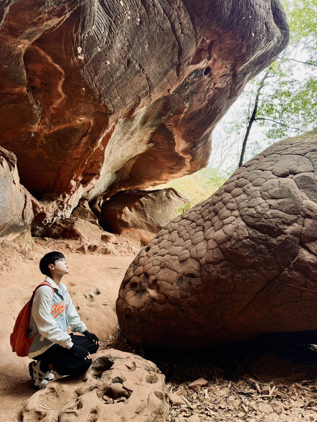 ลุยป่าตามหาพญานาค ณ ถ้ำนาคา บึงกาฬ! 🐍⛰️