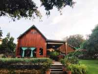 คาเฟ่ในสวน Napa Cafe and Craft 