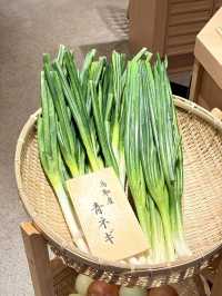 鴨to葱拉麵-美味鴨肉、時令大葱，與別不同的拉麵店