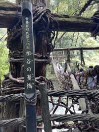 【日本三大秘境】祖谷のかずら橋