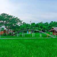 ที่ปลายนาตากับยาย อุทัยธานี