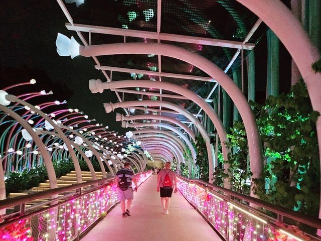 Beautiful sensoryscape at night