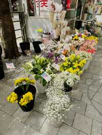 Springtime in Seoul: A Season of Blossom