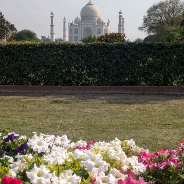 🇮🇳メフターブ・バーグ