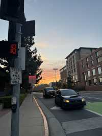 🏫 USC 캠퍼스, LA의 학문과 전통의 상징! 