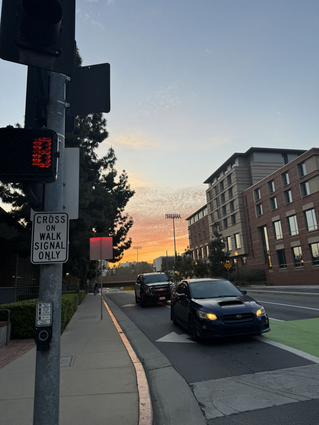 🏫 USC 캠퍼스, LA의 학문과 전통의 상징! 