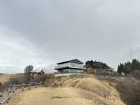 避雷：阿蘇火山草千里行程