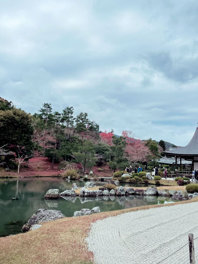 【京都🍁嵐山】一年中美しい庭園・天龍寺