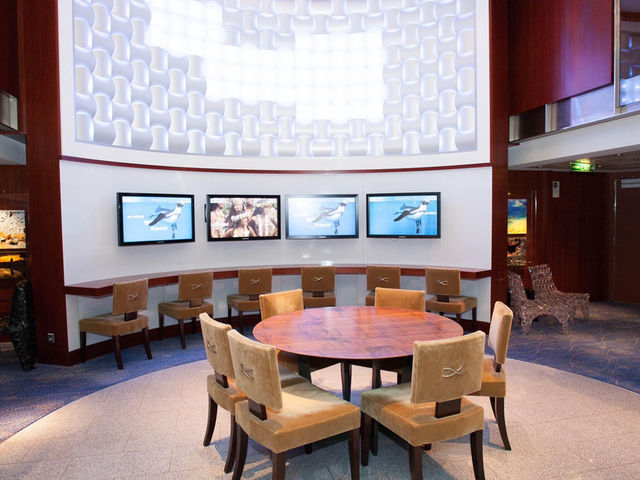 🌌 CELEBRITY ECLIPSE: Where Relaxation Meets Next-Level Luxury! 🍸