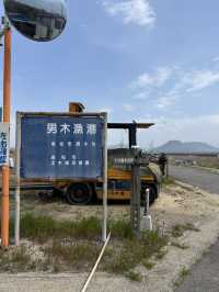  悠閒貓島散步：男木島的小確幸之旅