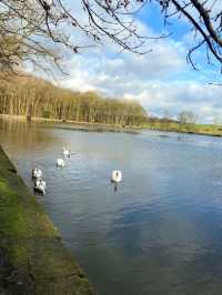 Golden Acre Park