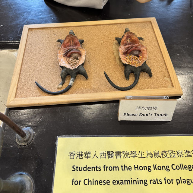 香港醫學博物館 (Hong Kong Museum of Medical Sciences)