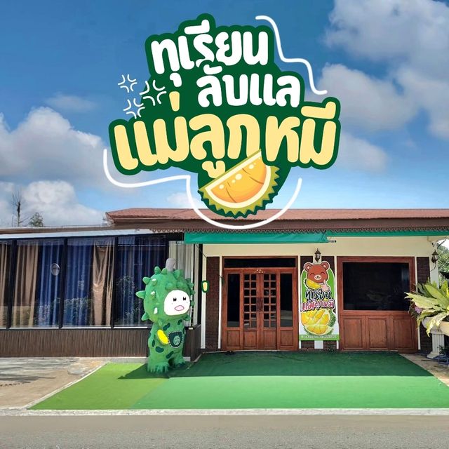 ทุเรียนลับแล แม่ลูกหมี [ อุตรดิตถ์]