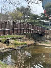 청주 명암저수지, 힐링 산책 데이트 추천🤍🍀🌱
