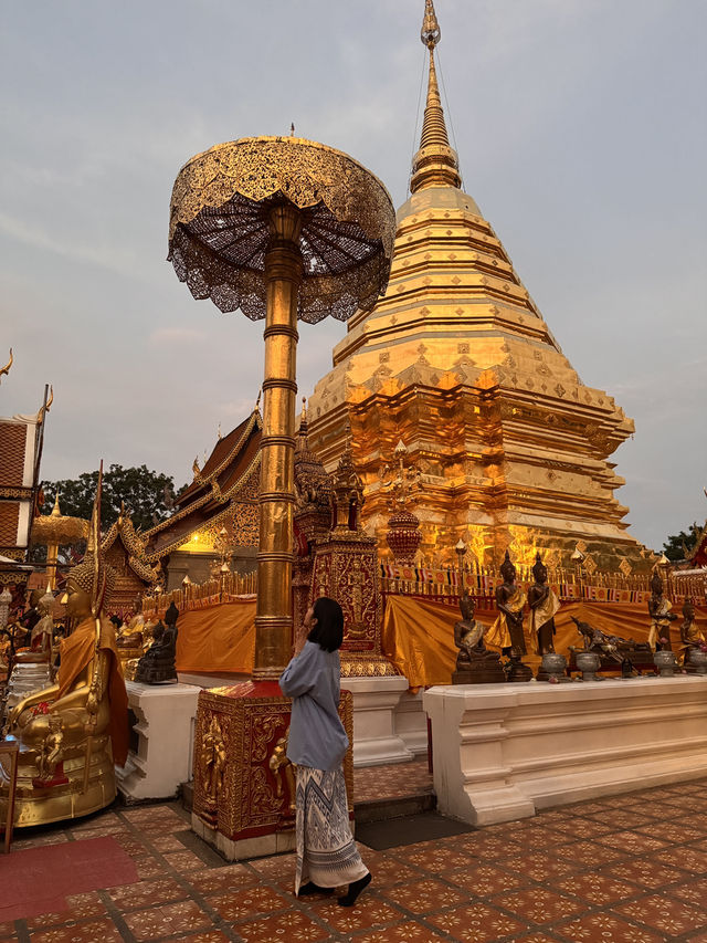🇹🇭방콕도 정말 좋지만 태국은 북부로 가주라…🥺🇹🇭