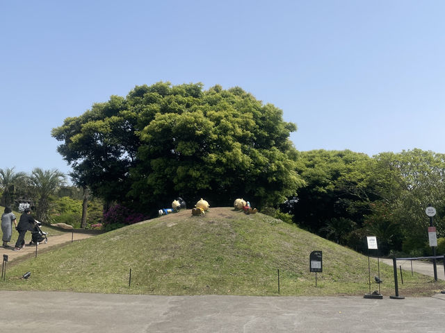 濟州島史努比公園攻略