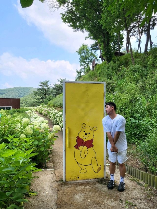 수국피는 시즌에 꼭 가야할 동화마을 수목원