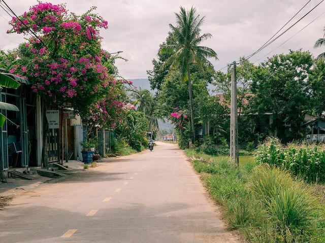 Phù Mỹ