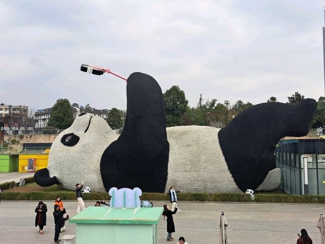 청두의 아이콘, 판다와 레서판다 디자인의 매력