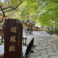 絶対に行って欲しい仙台3日間の旅行体験！