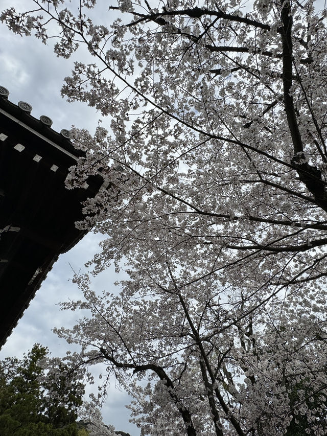 大阪京阪本線｜歷史與現代的藍色文化之旅