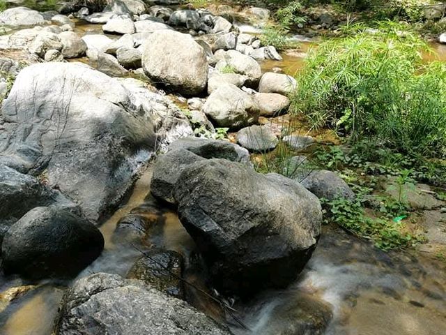 อุทยานแห่งชาติเฉลิมพระเกียรติไทยประจัน