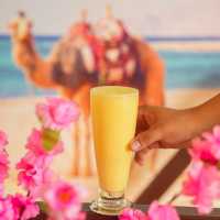 Elbasha Restaurant Thailand