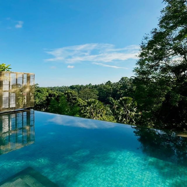 Where Modern Elegance Meets Jungle Serenity