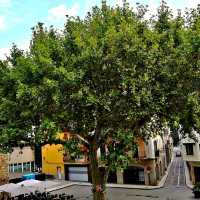 Llançá 鎮位於 Alt Empordà，距離巴塞隆納 160 公里，距離法國邊境 20 公里，已成為安靜度假的好選擇
