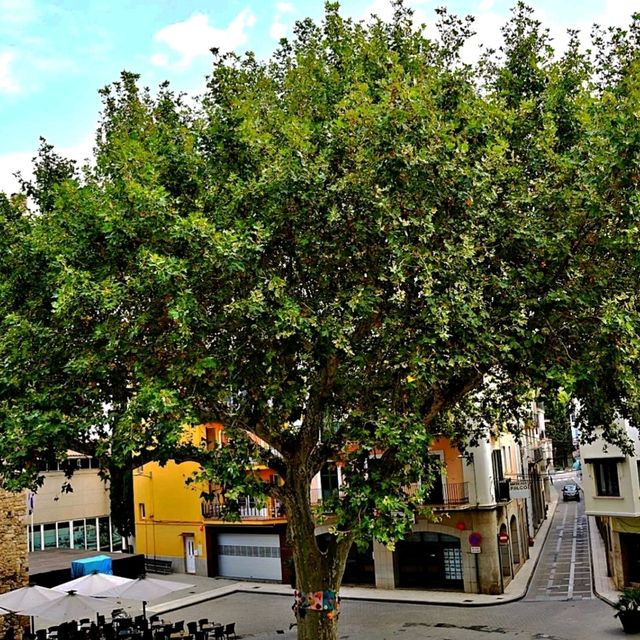 Llançá 鎮位於 Alt Empordà，距離巴塞隆納 160 公里，距離法國邊境 20 公里，已成為安靜度假的好選擇