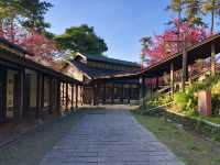 Classroom Under the Cherry Trees — Neihu Primary School, Nantou