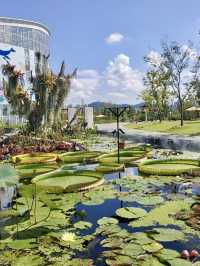 The Sejong National Arboretum