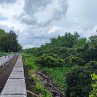 南生圍（Nam Sang Wai）