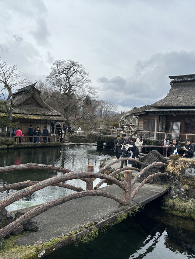 Oshino Hakkai