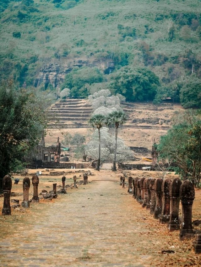 Ancient Vibes & Ruins