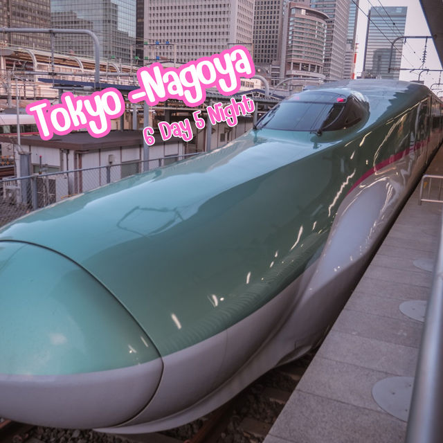 แจกแพลนเที่ยว โตเกียว นาโกย่า 6 วัน 5 คืน🇯🇵