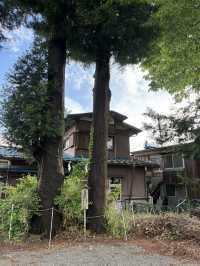 富士吉田の【福地八幡社 渡辺大明神】に行ってきた！