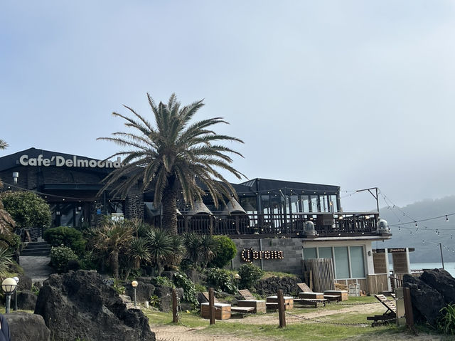 제주도 카페 투어 여행