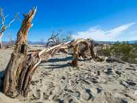 Lowest Point, Limitless Views: Exploring Badwater Basin