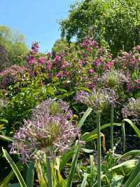 A Peaceful Escape in the Heart of the City: Hyde Park