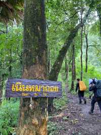 🌧️ เที่ยวหน้าฝน…พิชิตสันหนอกวัว ⛰️