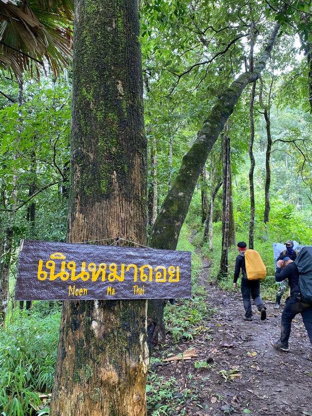 🌧️ เที่ยวหน้าฝน…พิชิตสันหนอกวัว ⛰️