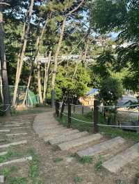 🌳 통영생태숲에서 자연과 한몸이 된 하루! 🍃