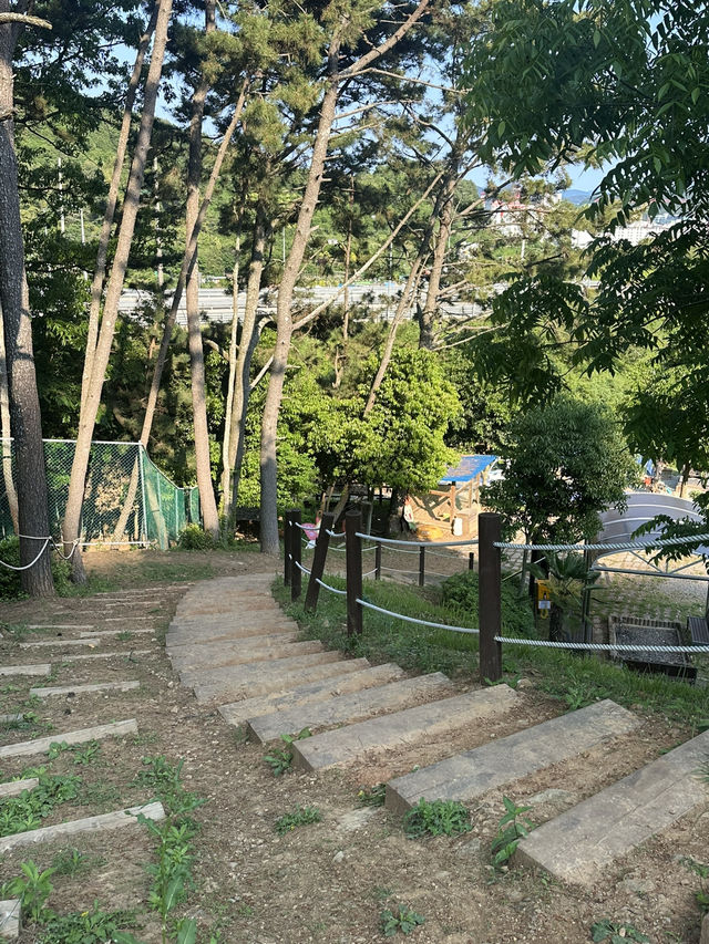 🌳 통영생태숲에서 자연과 한몸이 된 하루! 🍃
